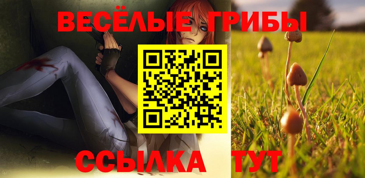 Галлюциногенные грибы мухоморы  Вход с VPN  Галлюциногенные грибы мухоморы  Новотроицк 