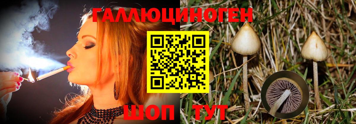 Псилоцибиновые грибы прущие грибы Новотроицк